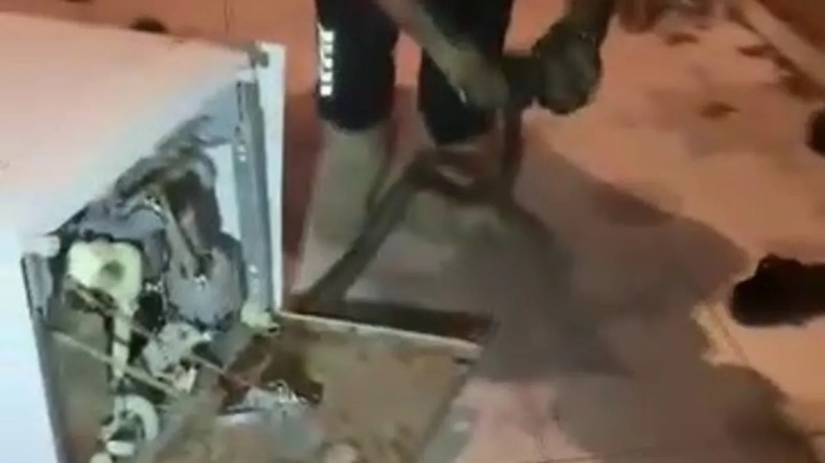 Bulaşık makinesine giren 2 metrelik karayılanı itfaiye çıkardı