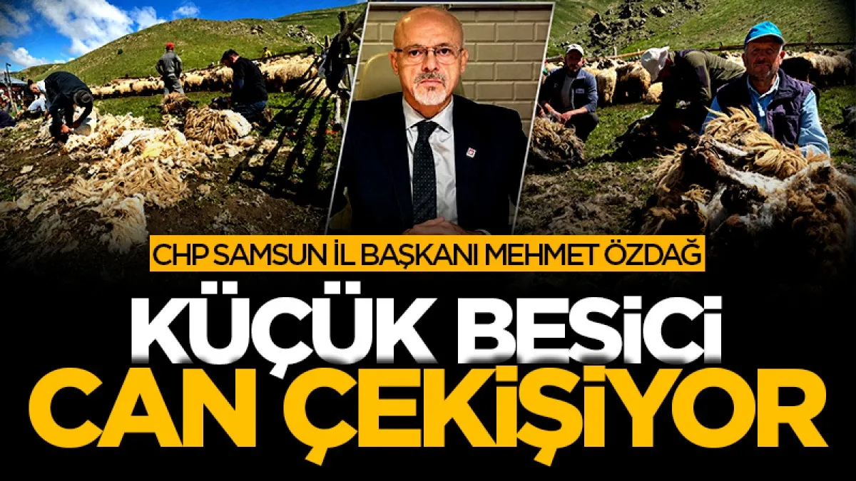 CHP Samsun İl Başkanı Mehmet Özdağ: Küçük besici can çekişiyor