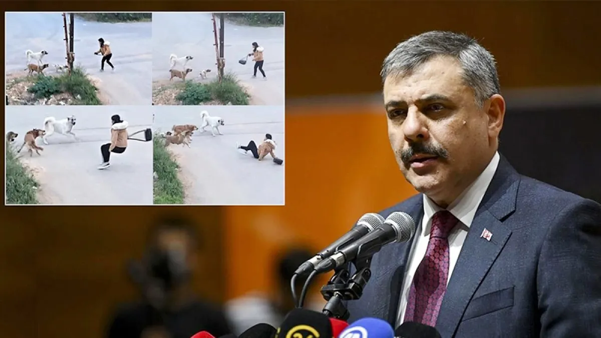 İçişleri Bakanı Çiftçi’den sokak köpekleri açıklaması: Yılbaşına kadar...