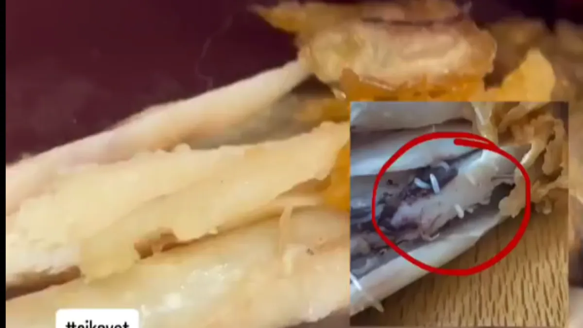 Kurtlu tavuk skandalına şaşırtan savunma