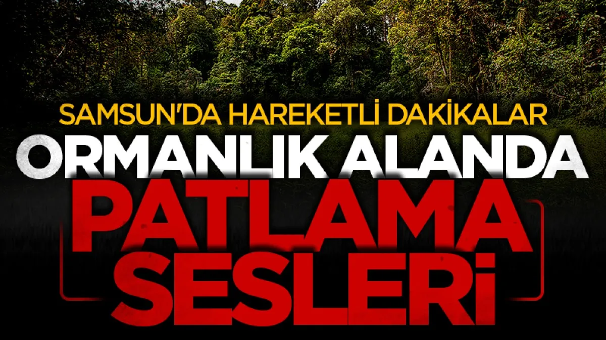 Samsun ormanlık alanda patlama sesleri