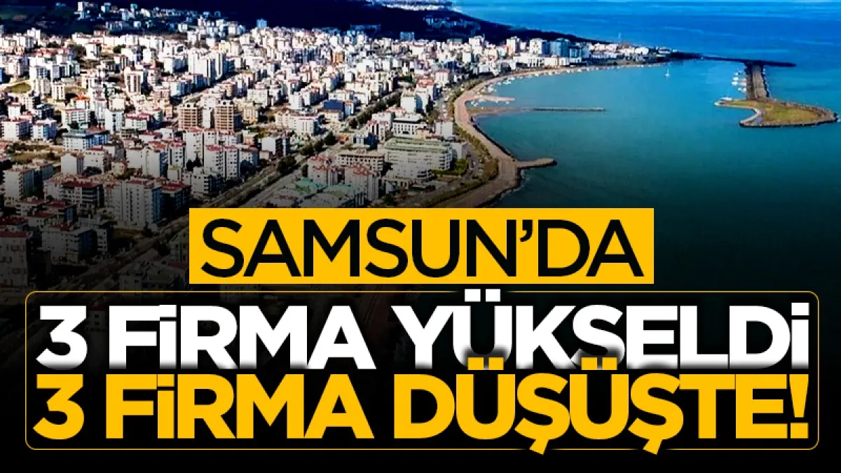 Samsun'da 3 firma yükseldi 3 firma düşüşte!