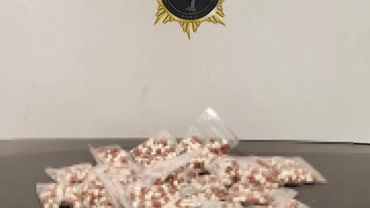 Samsun'da 3 ilçede dev uyuşturucu operasyonu: 8 şüpheli yakalandı