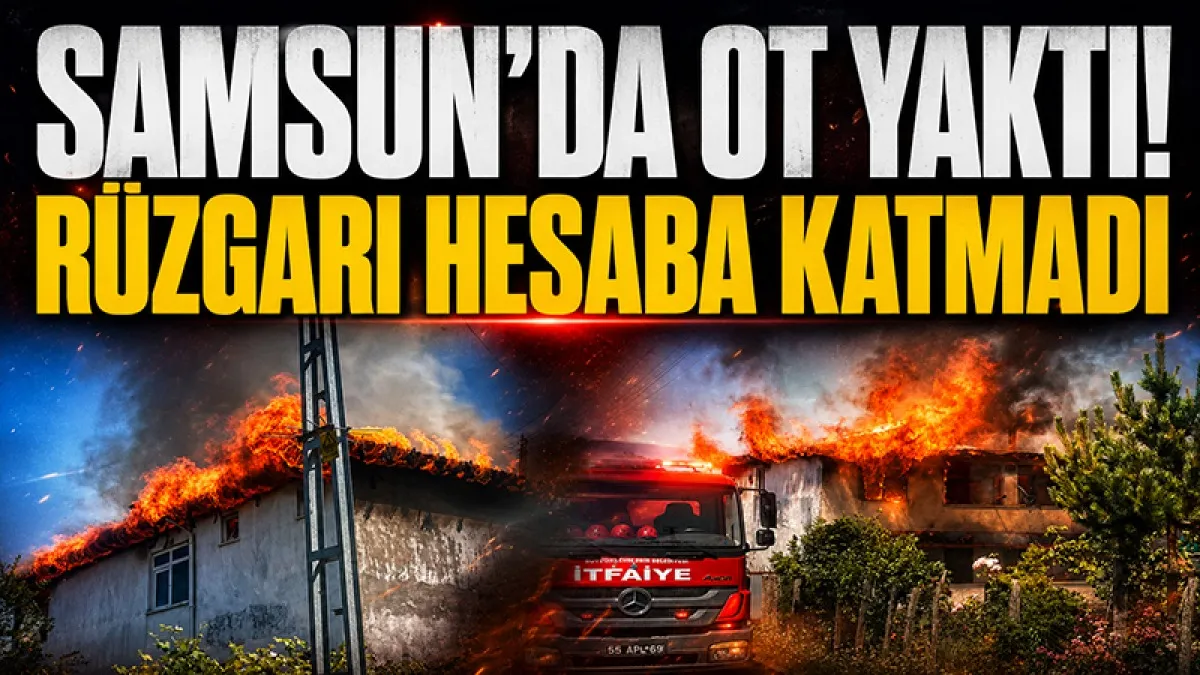 Samsun'da bahçesindeki otları yaktı, rüzgarı hesaba katmadı