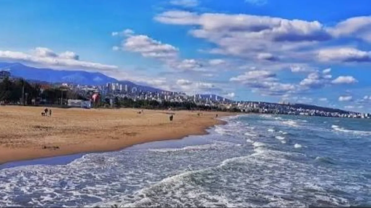 Samsun'da denize girilmesi yasak olan yerler neresi?