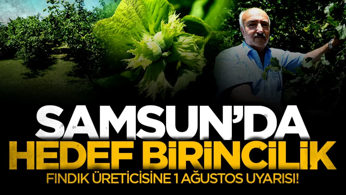 Samsun'da hedef birincilik: Fındık üreticisine 1 Ağustos uyarısı!