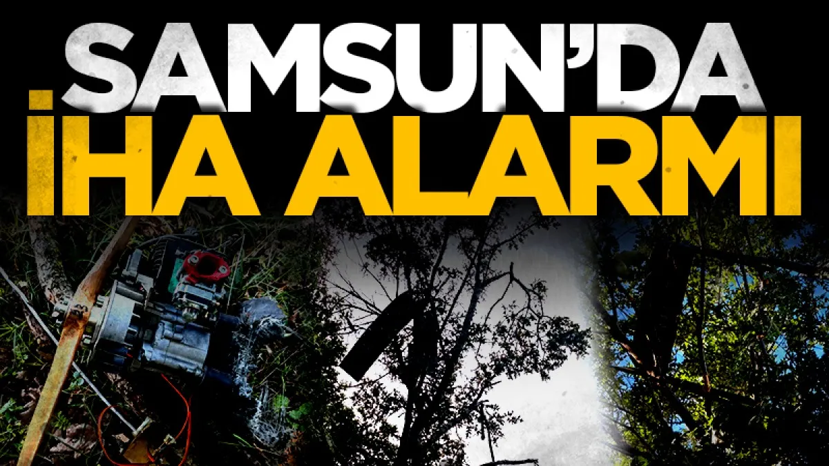 Samsun'un Alaçam ilçesinde İHA alarmı