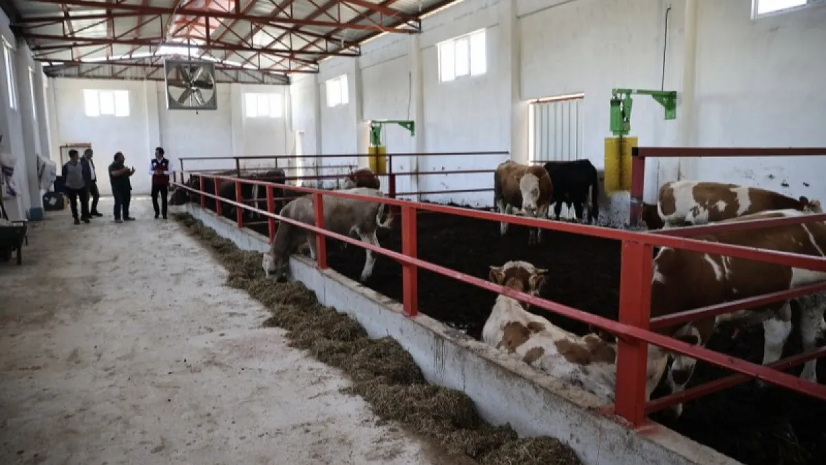 Sinop'ta bir ilk: Devlet desteğiyle Avrupa Birliği standartlarında dev tesis kuruldu