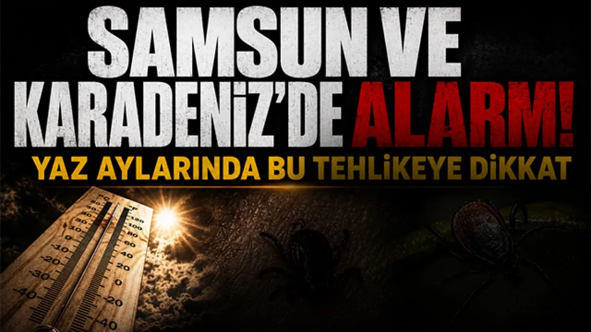 Yaz aylarında kene tehlikesine karşı dikkat! Samsun ve Karadeniz'de kene alarmı