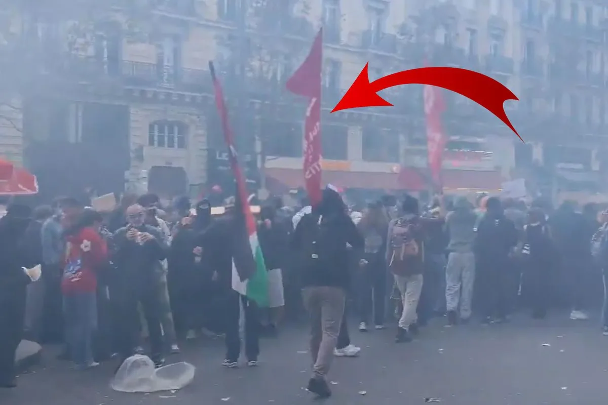 Fransa'daki kitlesel eylemlerde dikkat çeken görüntü